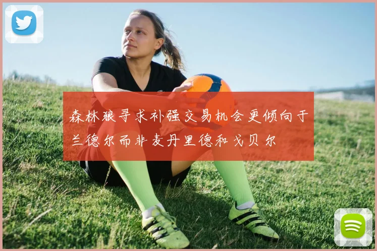 森林狼寻求补强交易机会更倾向于兰德尔而非麦丹里德和戈贝尔